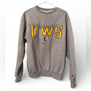 UW-Superior Yellowjackets Embroidered College Sweatshirt Champion Wisconsin